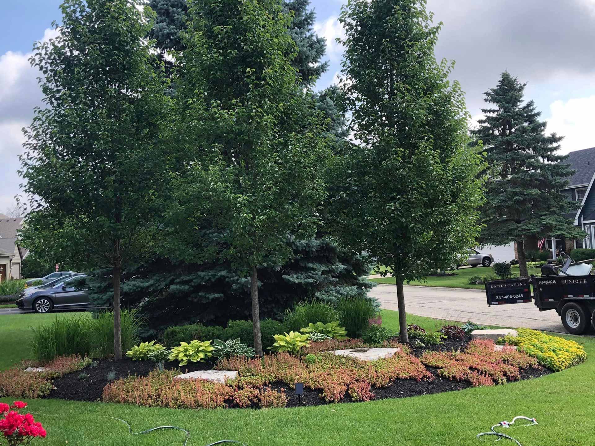 Flower bed with three newly planted trees
