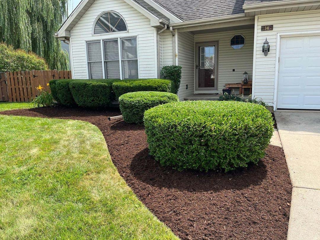 Well-trimmed hedge bushes in front of a house