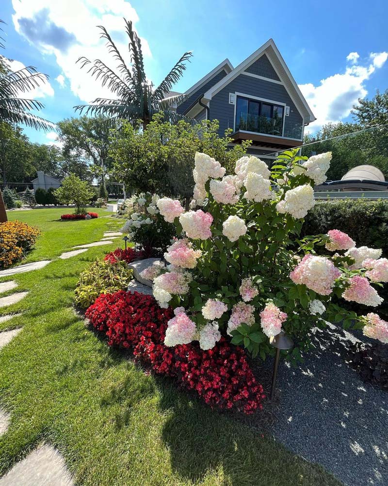 Fisheye shot of garden