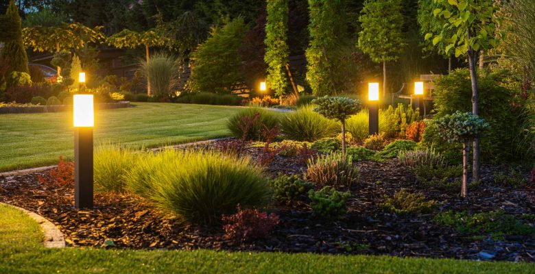 Backyard garden with landscape lights