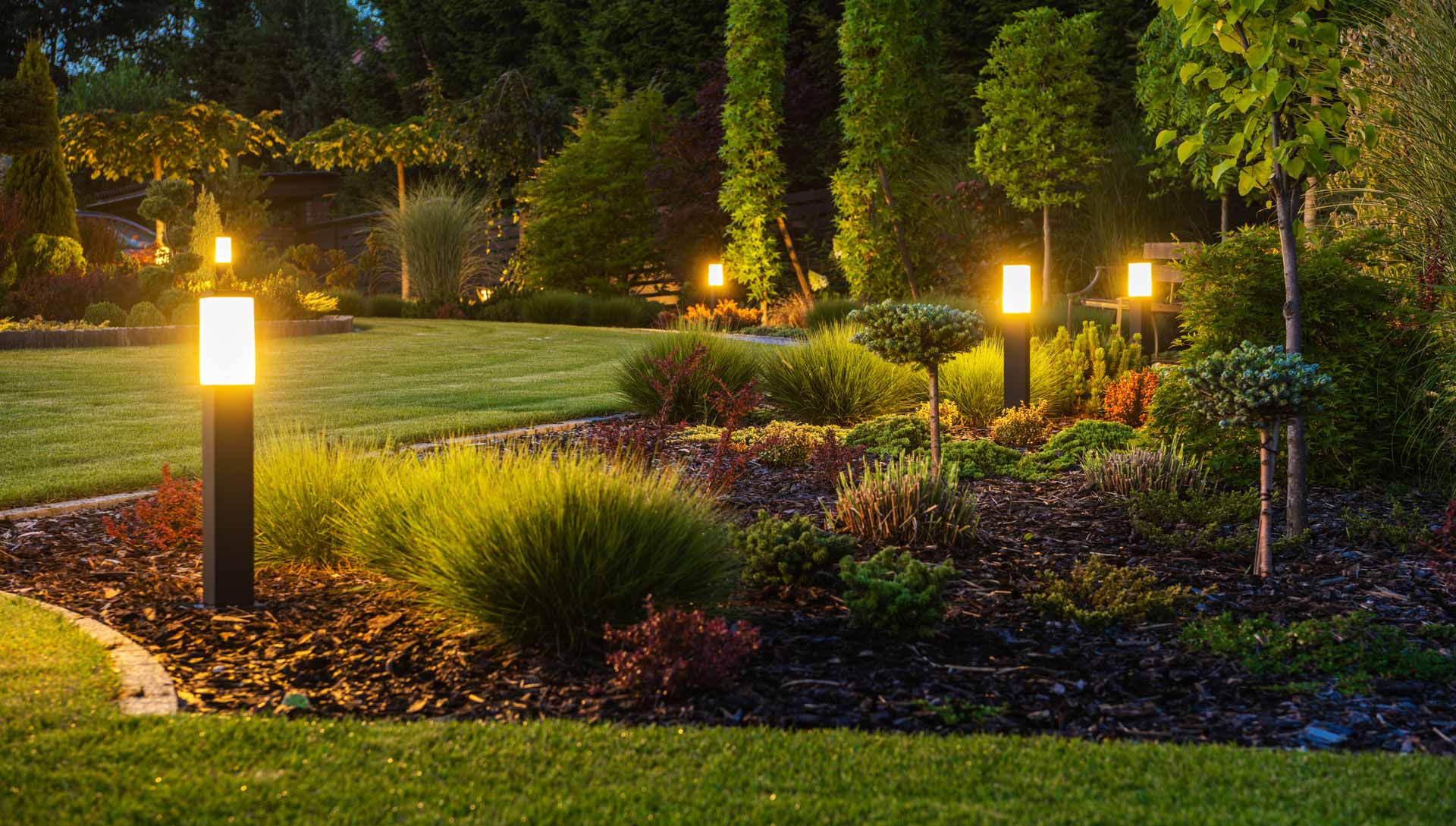 Backyard garden with landscape lights