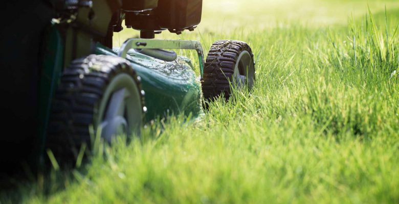 Close-up shot of lawnmower