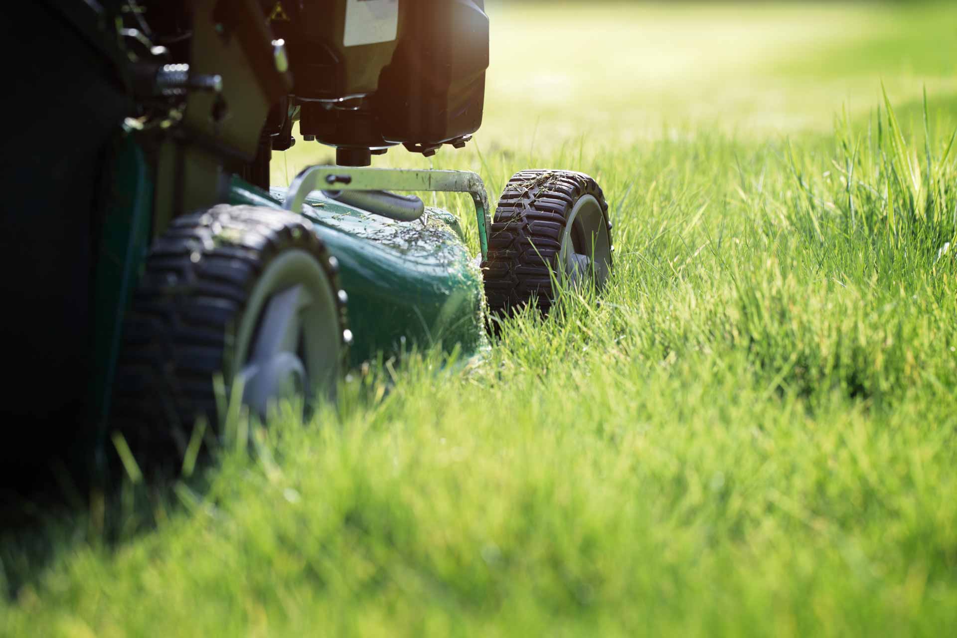 Close-up shot of lawnmower